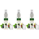 Menjewell Black Currant With Musky Jasmine Eau De Parfum For Woman 8ml 0.27 Fl.oz. Each Pack Of 3 | Luxury Apparel Parfum | Long Lasting